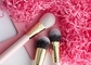 Vonira Brand New Basic 11 Pieces Makeup Brushes Collection Set de Brochas de Maquillaje Professional สีชมพูทองคําแบบเปลือย